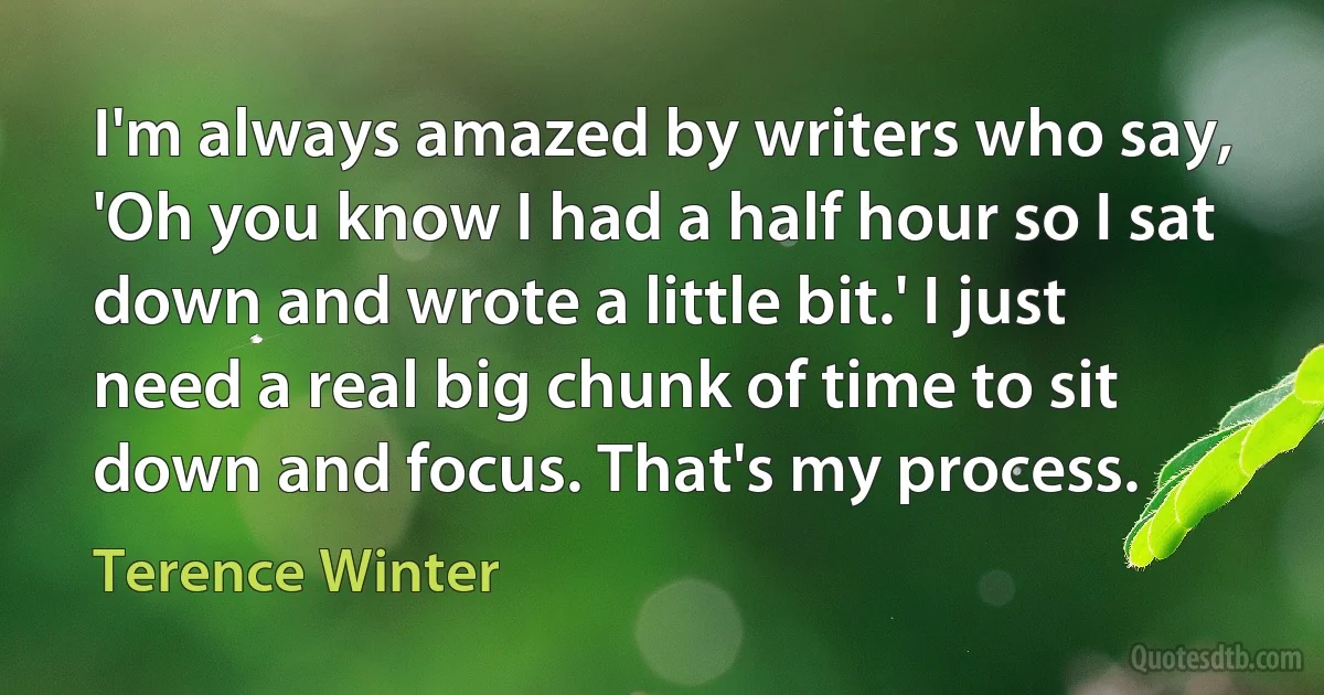 I'm always amazed by writers who say, 'Oh you know I had a half hour so I sat down and wrote a little bit.' I just need a real big chunk of time to sit down and focus. That's my process. (Terence Winter)