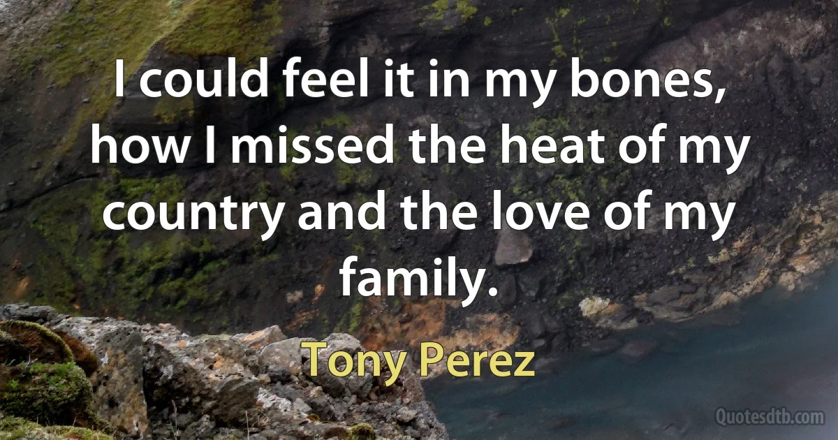 I could feel it in my bones, how I missed the heat of my country and the love of my family. (Tony Perez)