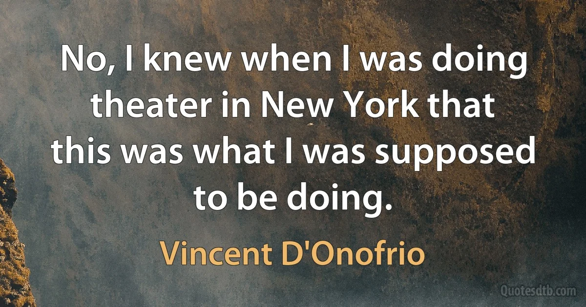 No, I knew when I was doing theater in New York that this was what I was supposed to be doing. (Vincent D'Onofrio)