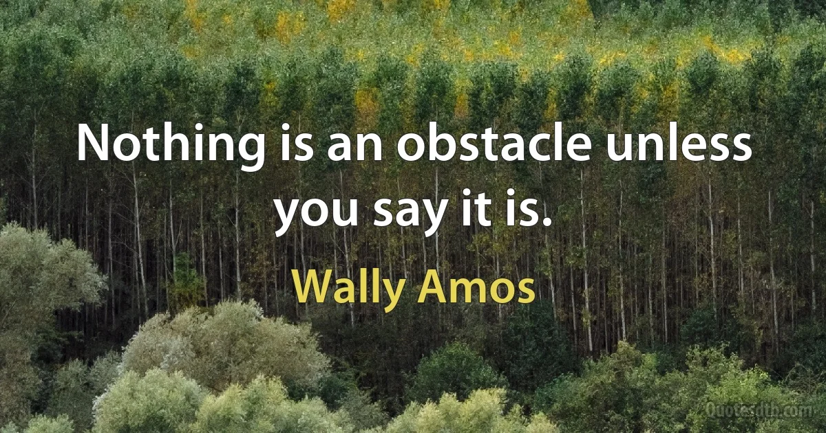 Nothing is an obstacle unless you say it is. (Wally Amos)