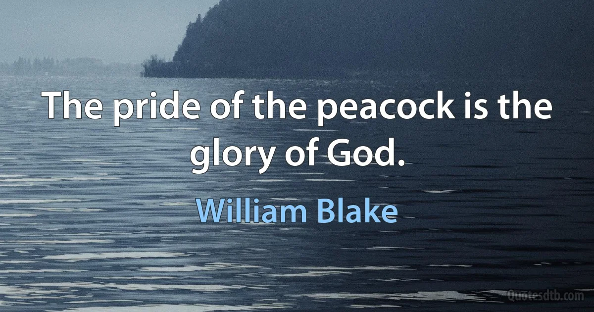 The pride of the peacock is the glory of God. (William Blake)