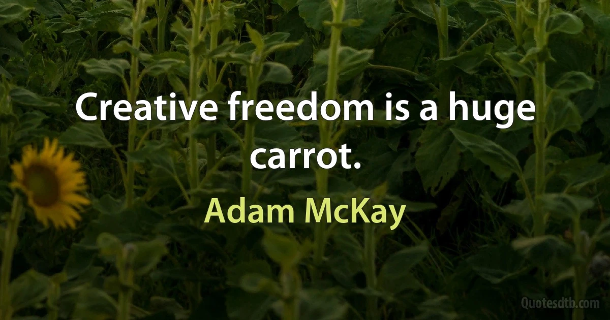 Creative freedom is a huge carrot. (Adam McKay)