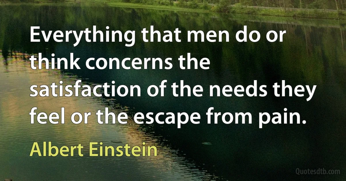 Everything that men do or think concerns the satisfaction of the needs they feel or the escape from pain. (Albert Einstein)