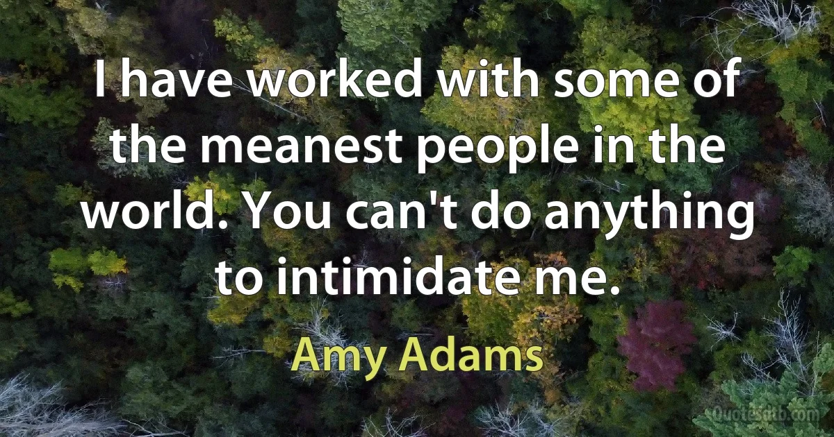 I have worked with some of the meanest people in the world. You can't do anything to intimidate me. (Amy Adams)