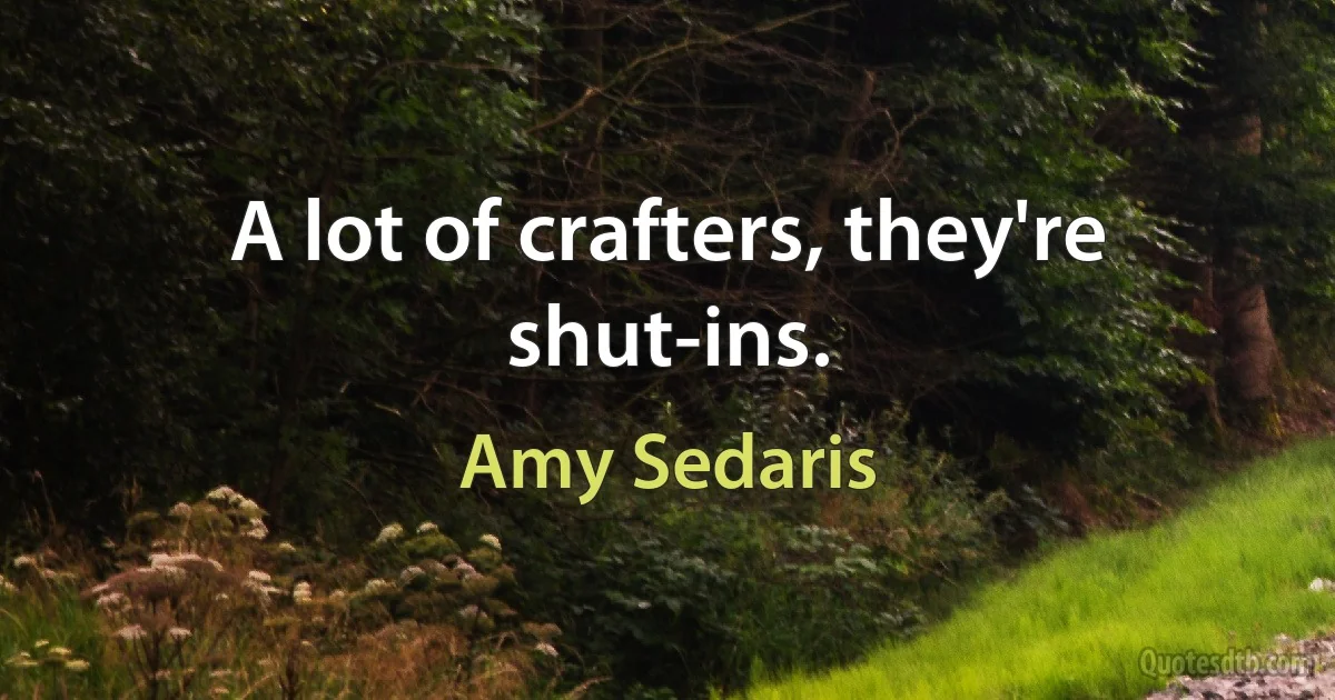 A lot of crafters, they're shut-ins. (Amy Sedaris)