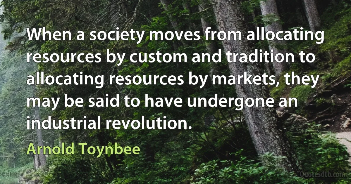 When a society moves from allocating resources by custom and tradition to allocating resources by markets, they may be said to have undergone an industrial revolution. (Arnold Toynbee)