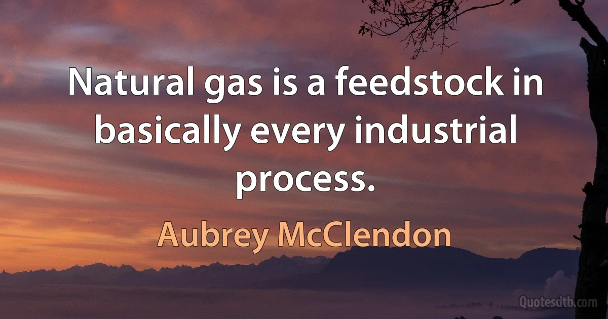 Natural gas is a feedstock in basically every industrial process. (Aubrey McClendon)