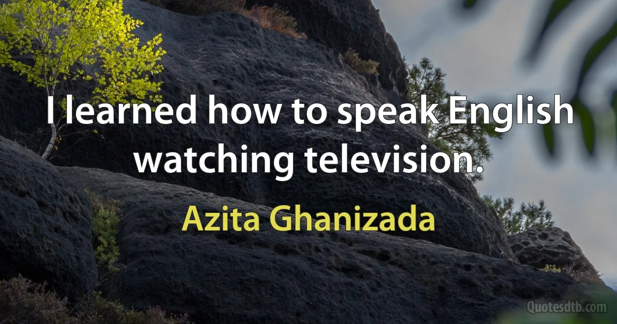 I learned how to speak English watching television. (Azita Ghanizada)