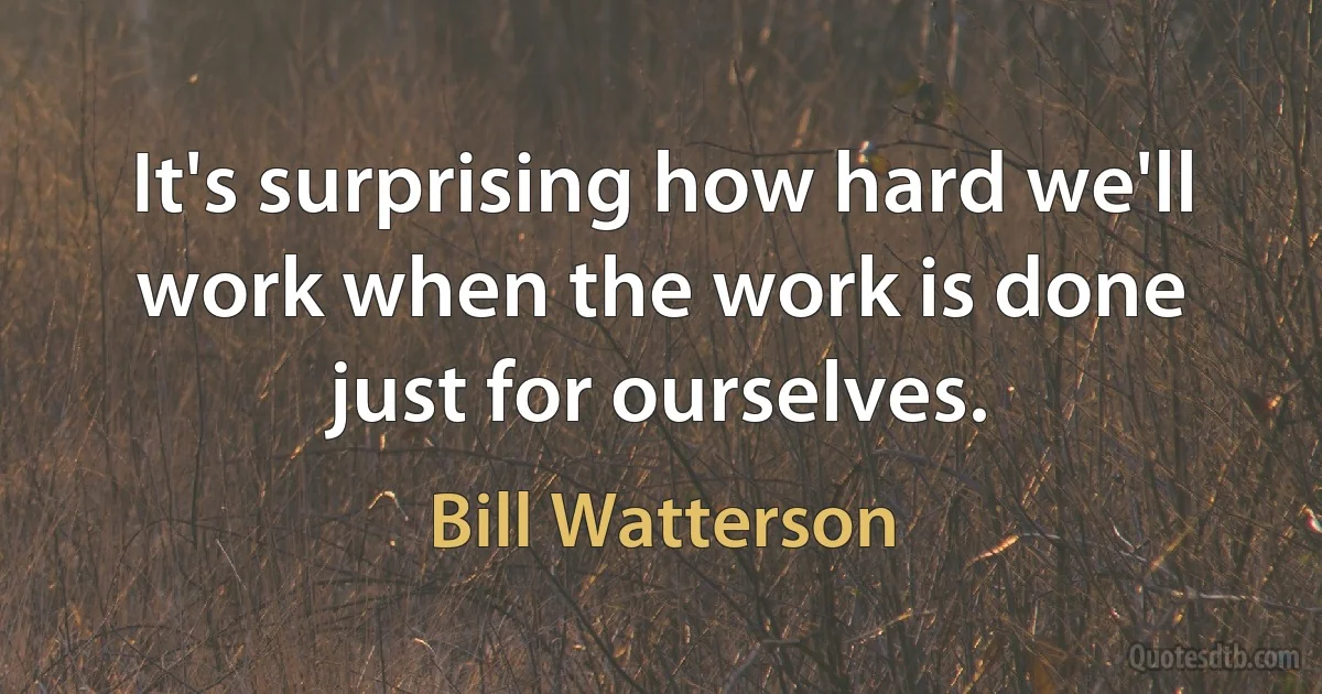 It's surprising how hard we'll work when the work is done just for ourselves. (Bill Watterson)