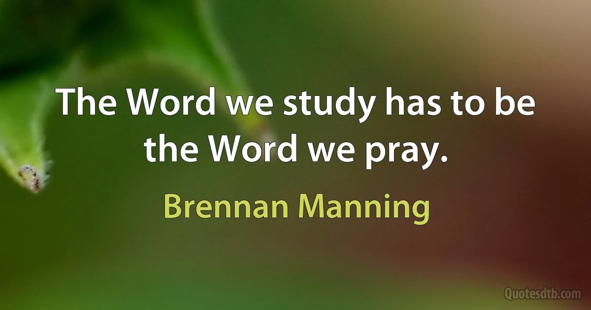 The Word we study has to be the Word we pray. (Brennan Manning)