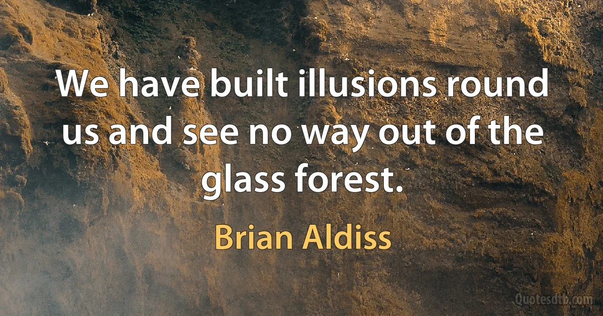 We have built illusions round us and see no way out of the glass forest. (Brian Aldiss)