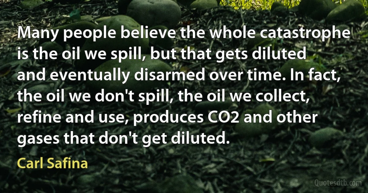 Many people believe the whole catastrophe is the oil we spill, but that gets diluted and eventually disarmed over time. In fact, the oil we don't spill, the oil we collect, refine and use, produces CO2 and other gases that don't get diluted. (Carl Safina)