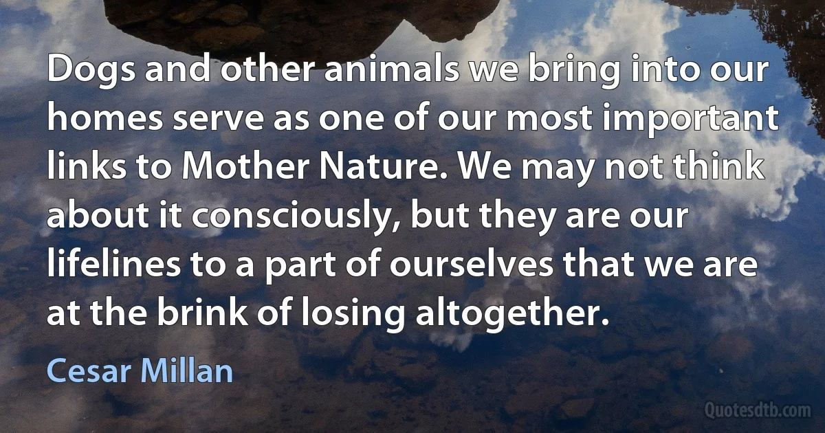 Dogs and other animals we bring into our homes serve as one of our most important links to Mother Nature. We may not think about it consciously, but they are our lifelines to a part of ourselves that we are at the brink of losing altogether. (Cesar Millan)