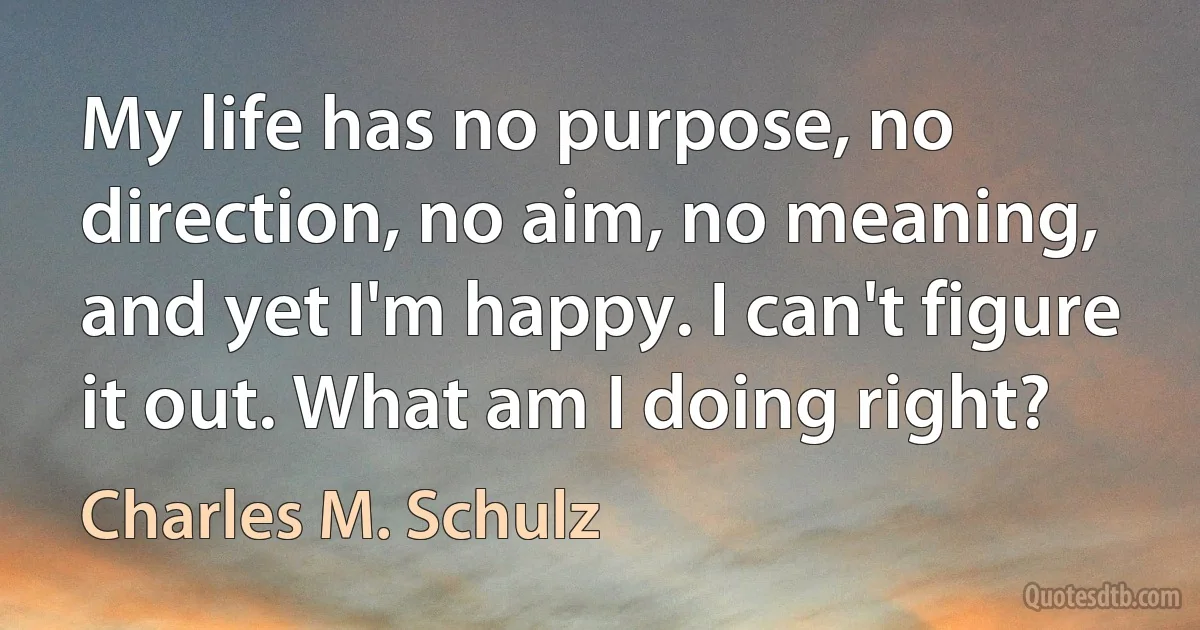 My life has no purpose, no direction, no aim, no meaning, and yet I'm happy. I can't figure it out. What am I doing right? (Charles M. Schulz)