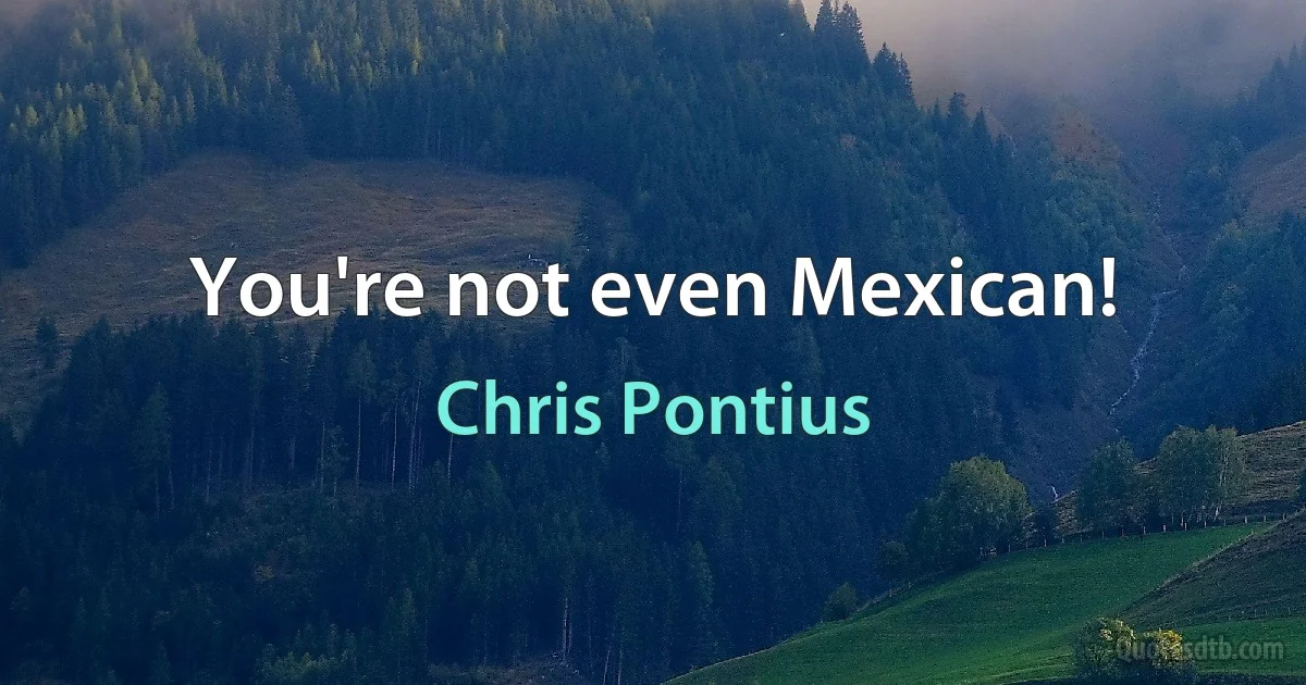 You're not even Mexican! (Chris Pontius)