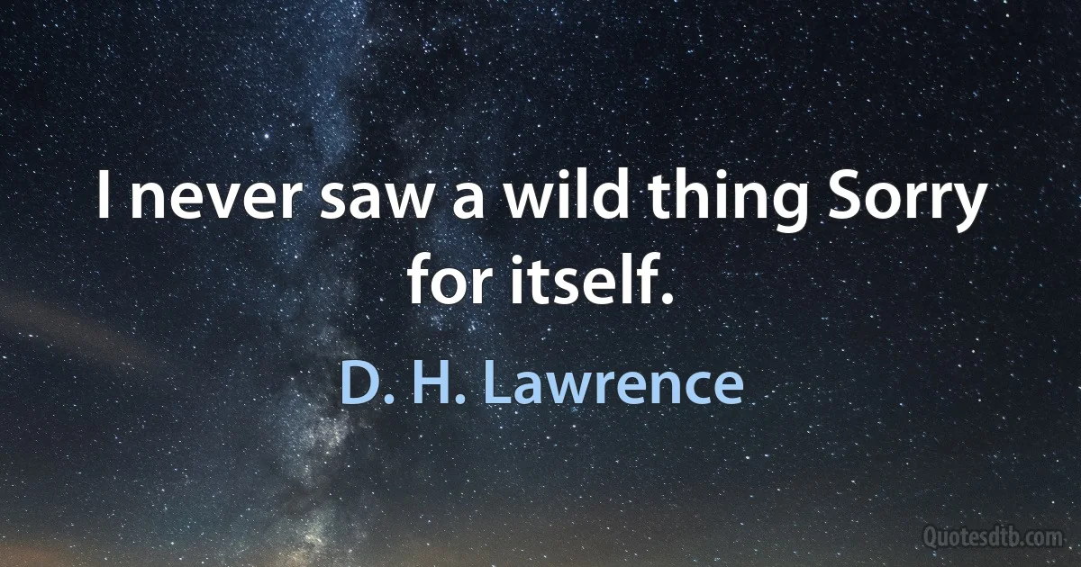 I never saw a wild thing Sorry for itself. (D. H. Lawrence)