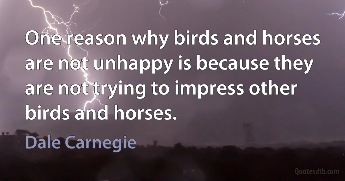 One reason why birds and horses are not unhappy is because they are not trying to impress other birds and horses. (Dale Carnegie)