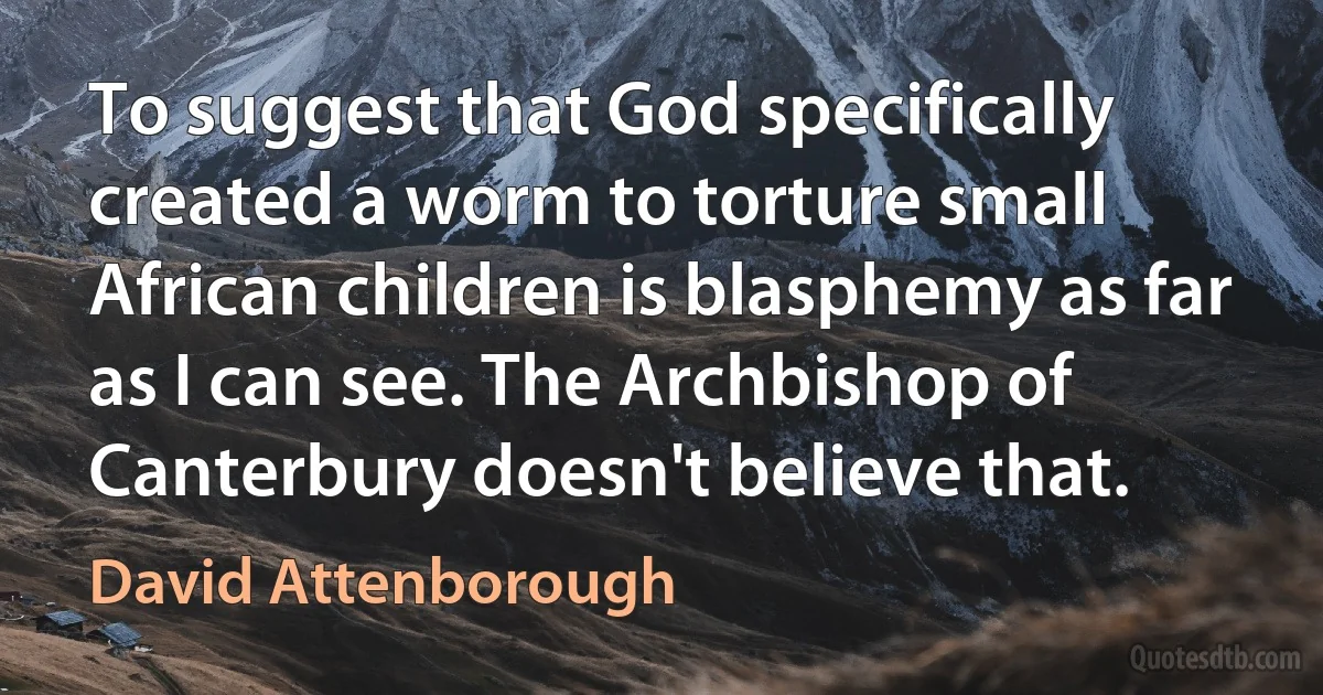 To suggest that God specifically created a worm to torture small African children is blasphemy as far as I can see. The Archbishop of Canterbury doesn't believe that. (David Attenborough)