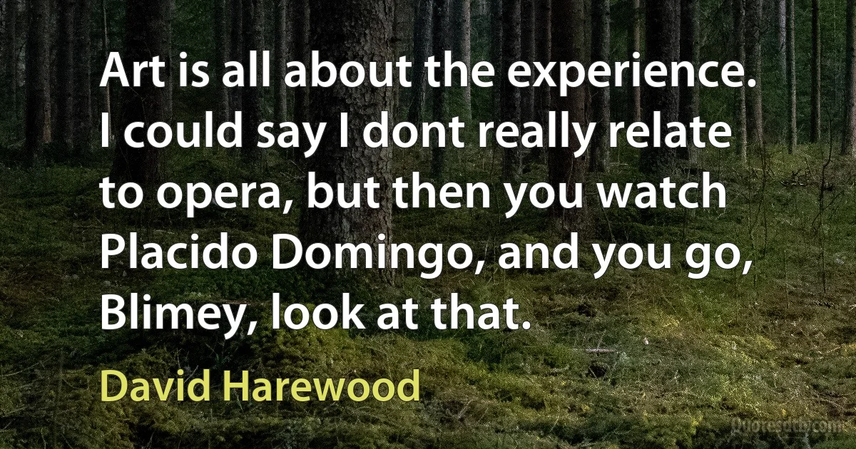 Art is all about the experience. I could say I dont really relate to opera, but then you watch Placido Domingo, and you go, Blimey, look at that. (David Harewood)