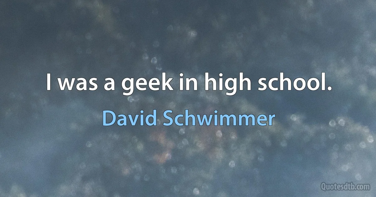 I was a geek in high school. (David Schwimmer)