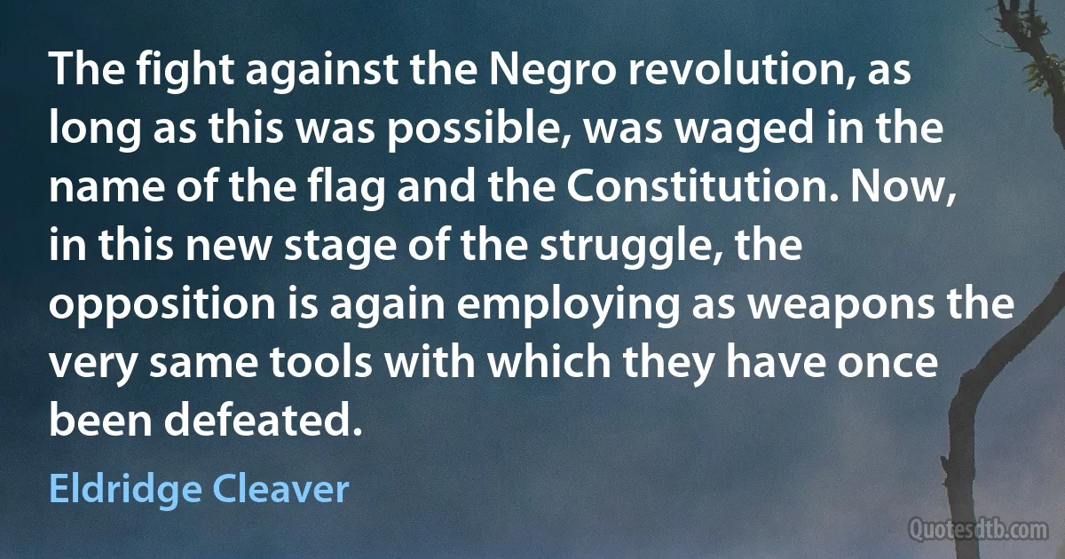 The fight against the Negro revolution, as long as this was possible, was waged in the name of the flag and the Constitution. Now, in this new stage of the struggle, the opposition is again employing as weapons the very same tools with which they have once been defeated. (Eldridge Cleaver)