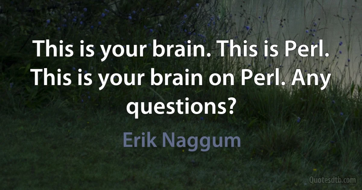 This is your brain. This is Perl. This is your brain on Perl. Any questions? (Erik Naggum)