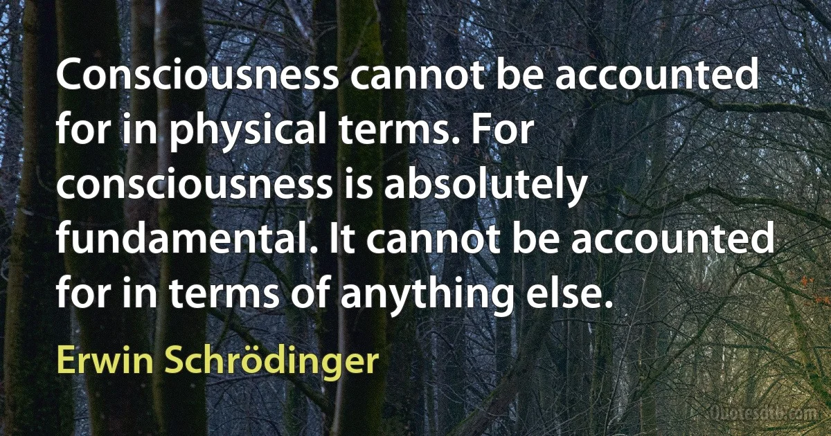 Consciousness cannot be accounted for in physical terms. For consciousness is absolutely fundamental. It cannot be accounted for in terms of anything else. (Erwin Schrödinger)