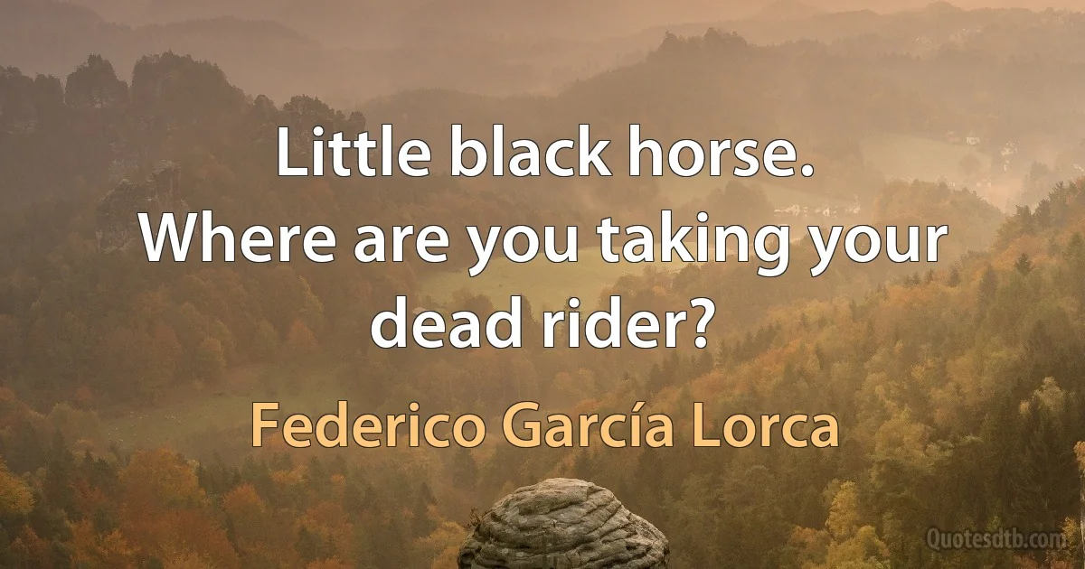 Little black horse.
Where are you taking your dead rider? (Federico García Lorca)