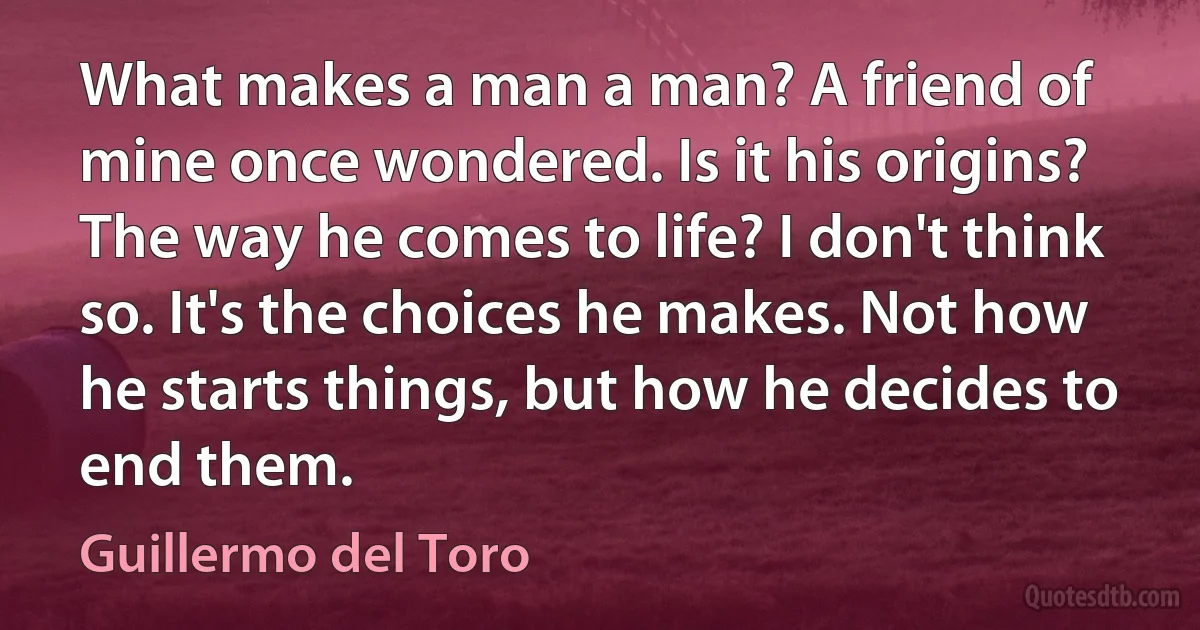 What makes a man a man? A friend of mine once wondered. Is it his origins? The way he comes to life? I don't think so. It's the choices he makes. Not how he starts things, but how he decides to end them. (Guillermo del Toro)