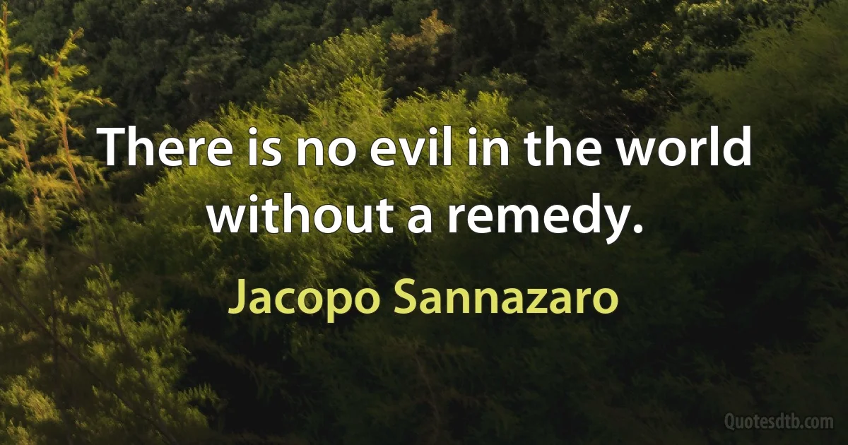 There is no evil in the world without a remedy. (Jacopo Sannazaro)