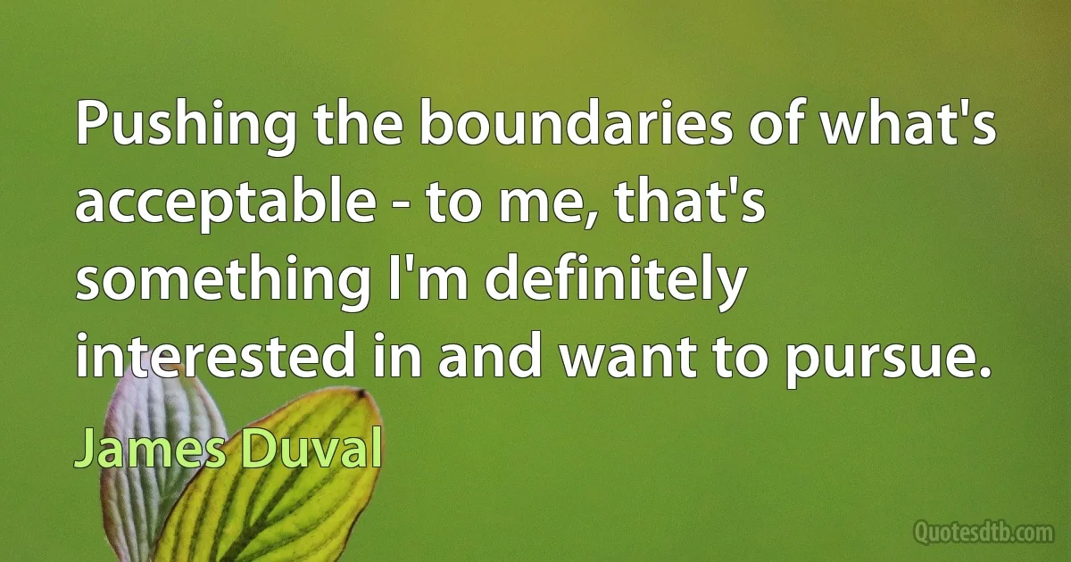 Pushing the boundaries of what's acceptable - to me, that's something I'm definitely interested in and want to pursue. (James Duval)