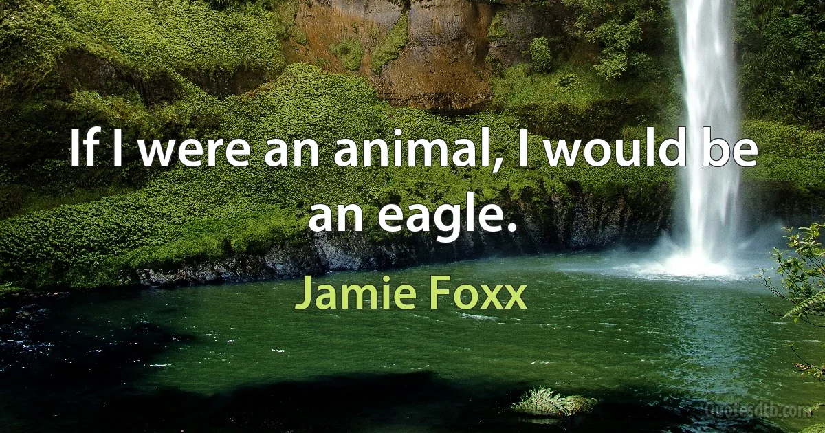 If I were an animal, I would be an eagle. (Jamie Foxx)