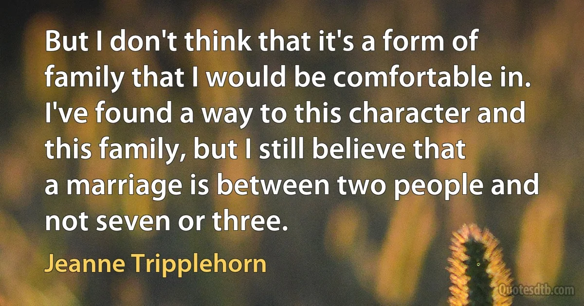 But I don't think that it's a form of family that I would be comfortable in. I've found a way to this character and this family, but I still believe that a marriage is between two people and not seven or three. (Jeanne Tripplehorn)