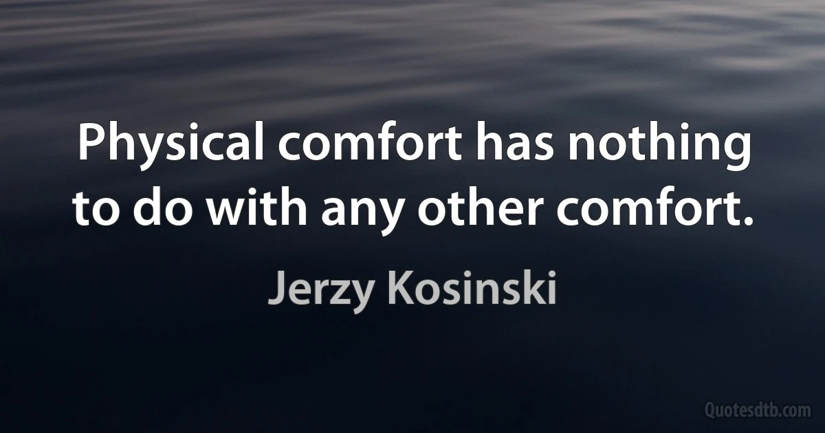 Physical comfort has nothing to do with any other comfort. (Jerzy Kosinski)