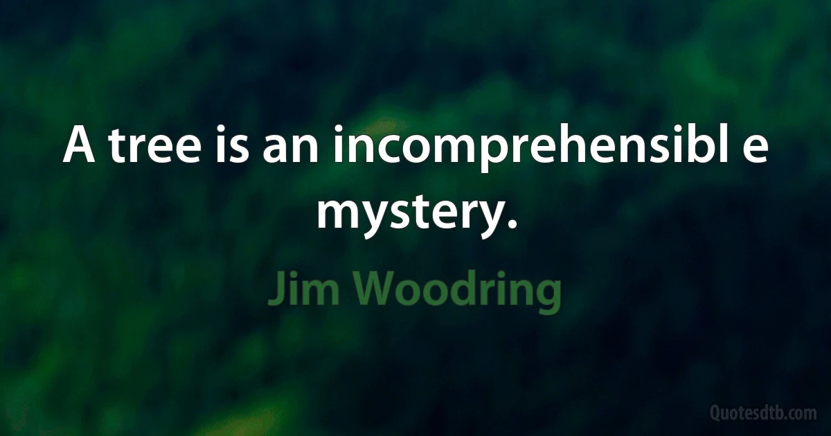 A tree is an incomprehensibl e mystery. (Jim Woodring)