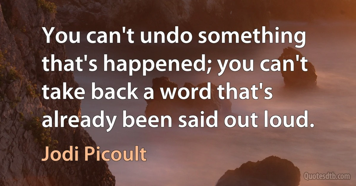 You can't undo something that's happened; you can't take back a word that's already been said out loud. (Jodi Picoult)