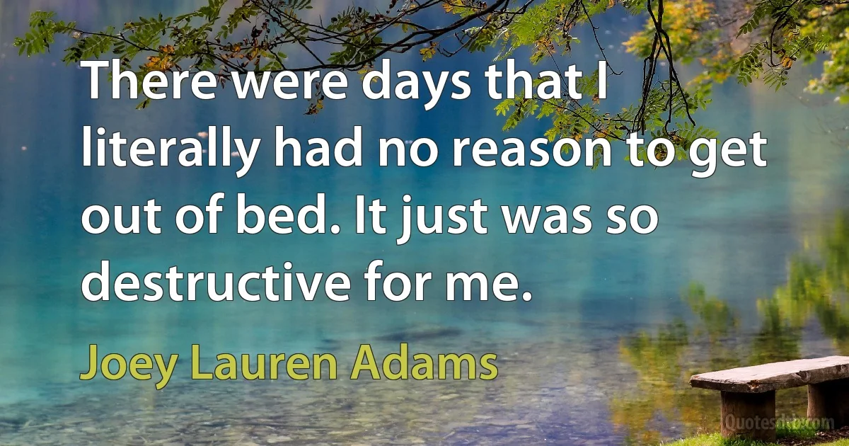 There were days that I literally had no reason to get out of bed. It just was so destructive for me. (Joey Lauren Adams)