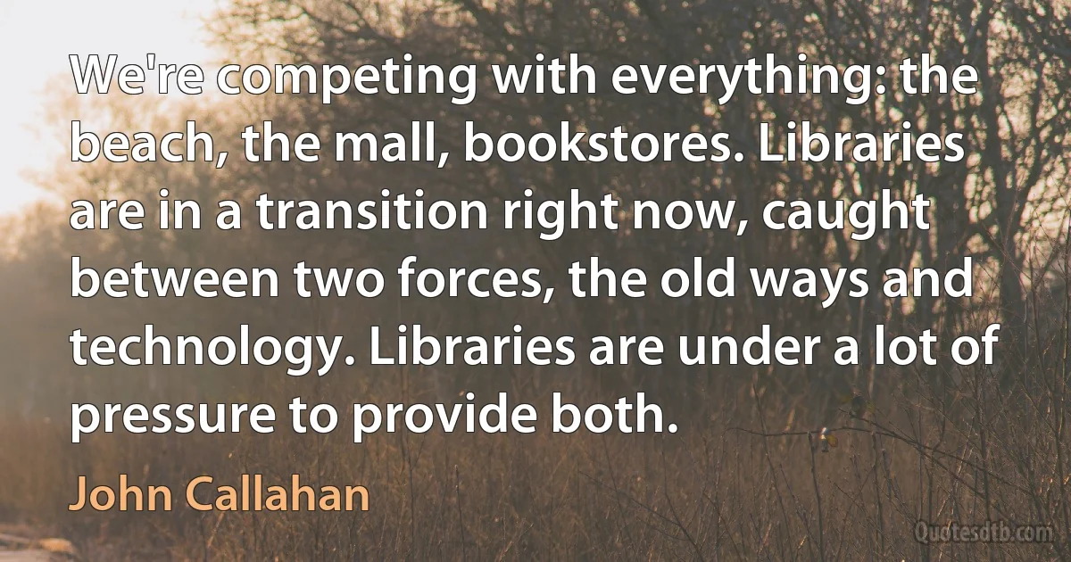 We're competing with everything: the beach, the mall, bookstores. Libraries are in a transition right now, caught between two forces, the old ways and technology. Libraries are under a lot of pressure to provide both. (John Callahan)