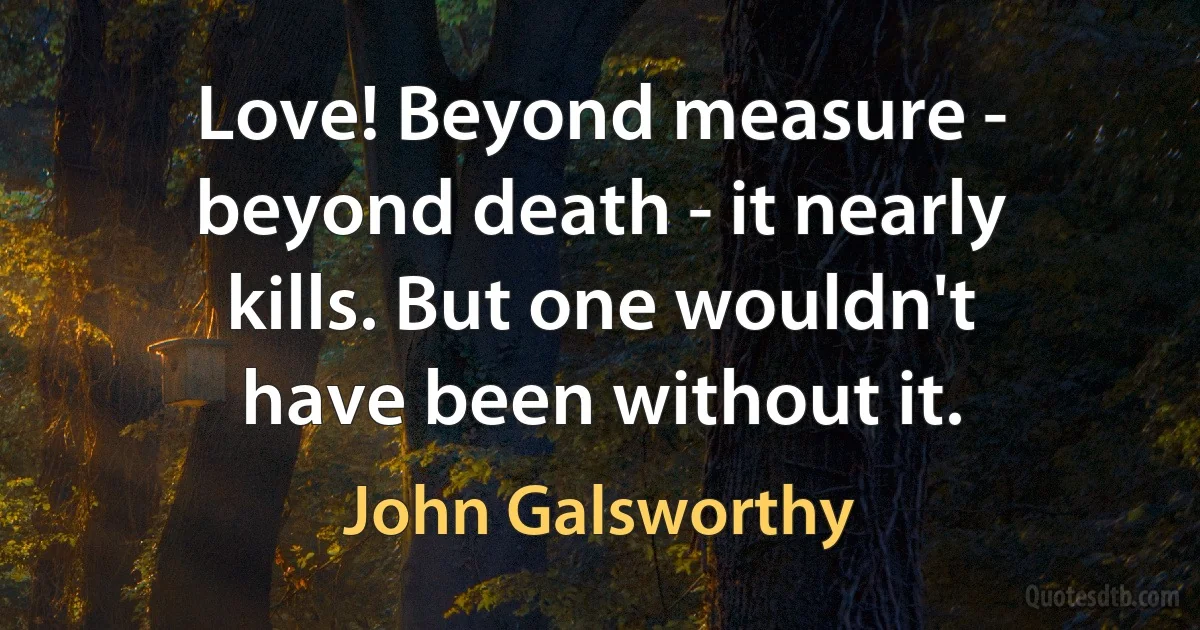 Love! Beyond measure - beyond death - it nearly kills. But one wouldn't have been without it. (John Galsworthy)