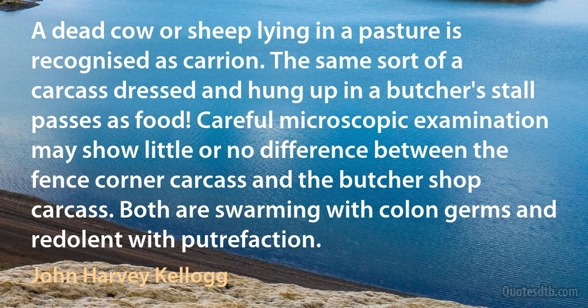 A dead cow or sheep lying in a pasture is recognised as carrion. The same sort of a carcass dressed and hung up in a butcher's stall passes as food! Careful microscopic examination may show little or no difference between the fence corner carcass and the butcher shop carcass. Both are swarming with colon germs and redolent with putrefaction. (John Harvey Kellogg)