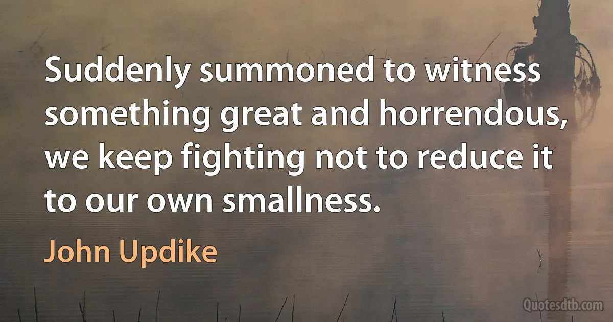 Suddenly summoned to witness something great and horrendous, we keep fighting not to reduce it to our own smallness. (John Updike)