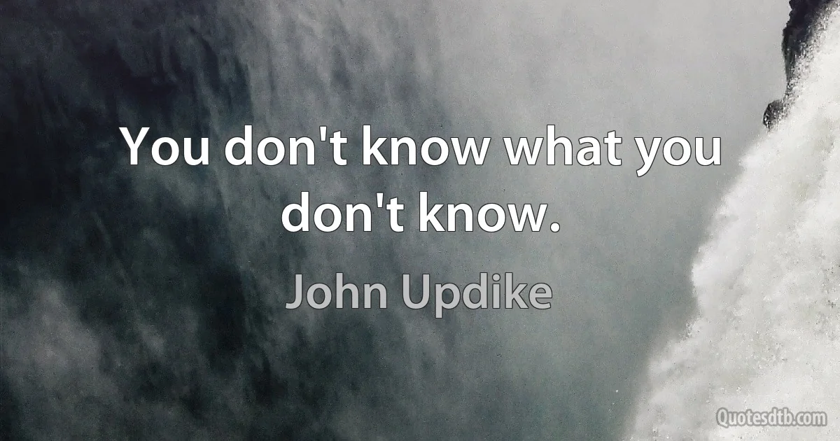 You don't know what you don't know. (John Updike)