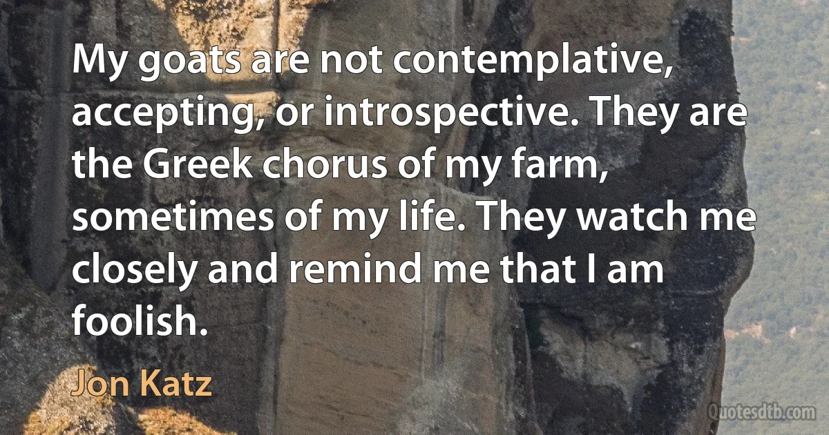 My goats are not contemplative, accepting, or introspective. They are the Greek chorus of my farm, sometimes of my life. They watch me closely and remind me that I am foolish. (Jon Katz)