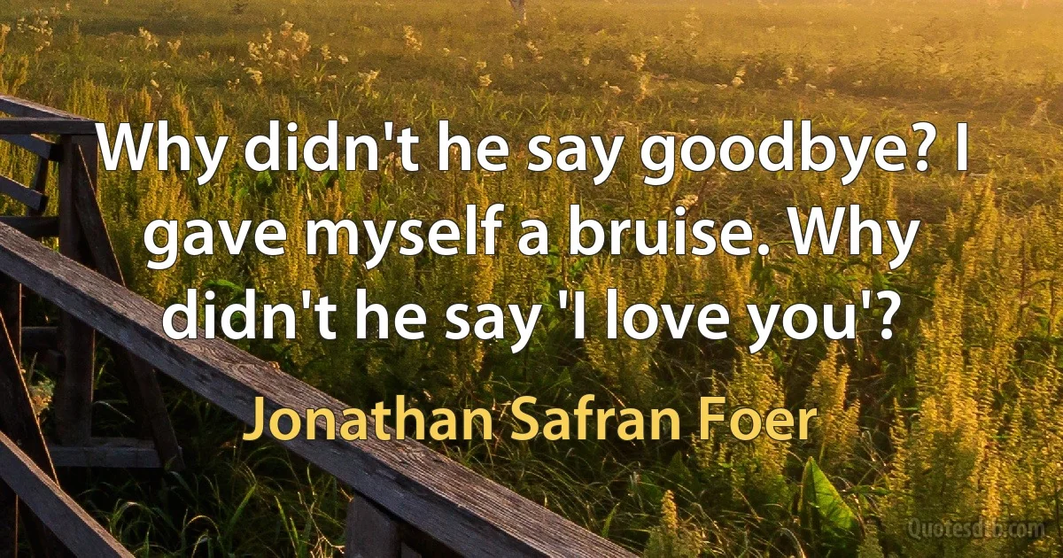 Why didn't he say goodbye? I gave myself a bruise. Why didn't he say 'I love you'? (Jonathan Safran Foer)