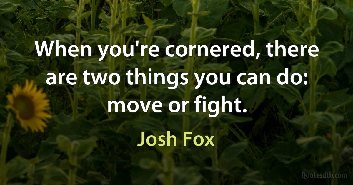 When you're cornered, there are two things you can do: move or fight. (Josh Fox)