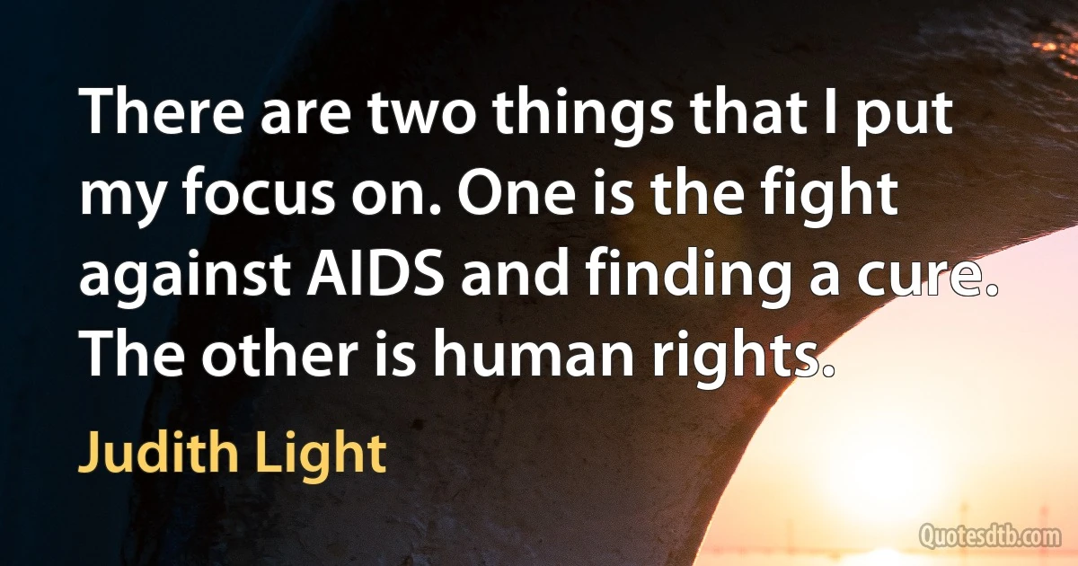 There are two things that I put my focus on. One is the fight against AIDS and finding a cure. The other is human rights. (Judith Light)