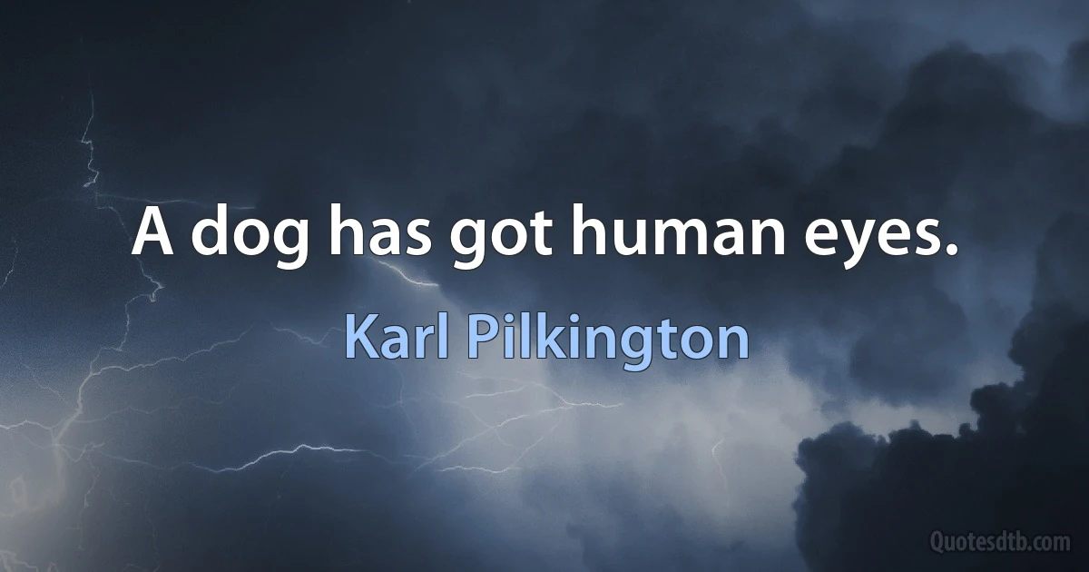 A dog has got human eyes. (Karl Pilkington)