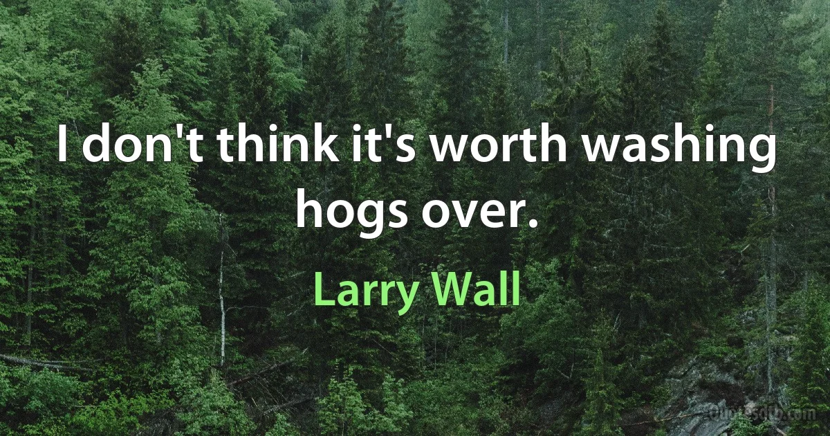 I don't think it's worth washing hogs over. (Larry Wall)