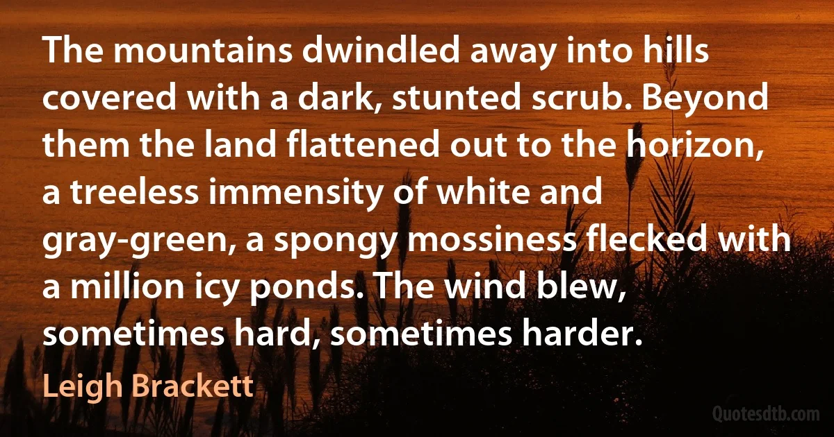 The mountains dwindled away into hills covered with a dark, stunted scrub. Beyond them the land flattened out to the horizon, a treeless immensity of white and gray-green, a spongy mossiness flecked with a million icy ponds. The wind blew, sometimes hard, sometimes harder. (Leigh Brackett)