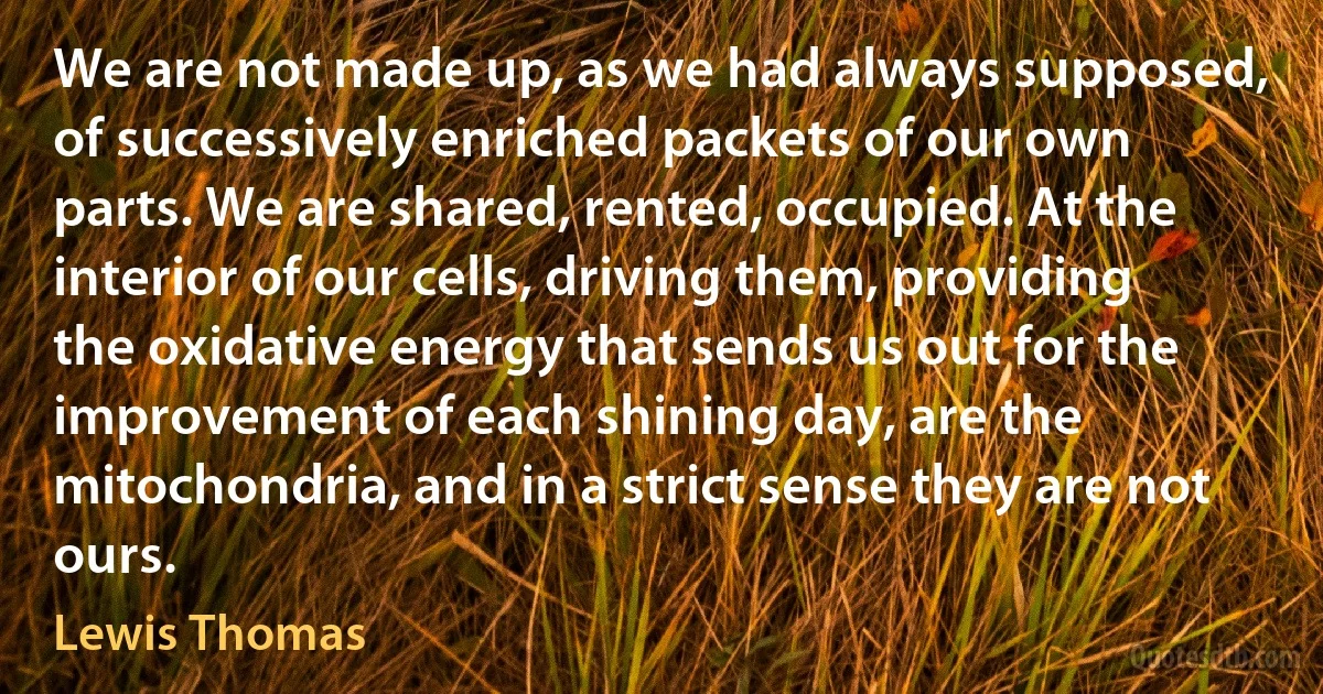 We are not made up, as we had always supposed, of successively enriched packets of our own parts. We are shared, rented, occupied. At the interior of our cells, driving them, providing the oxidative energy that sends us out for the improvement of each shining day, are the mitochondria, and in a strict sense they are not ours. (Lewis Thomas)